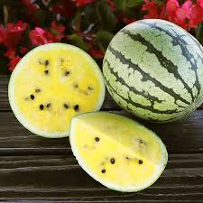 yellow watermelon