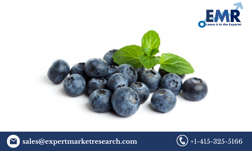 Organic Berries Market Price